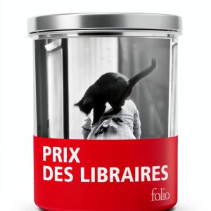 French Kindle eBook Editions Gallimard Classic 401 Pages Accessible-0